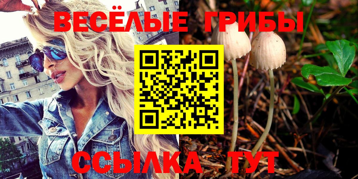 Псилоцибиновые грибы Cubensis  Вход с VPN  Бирск 